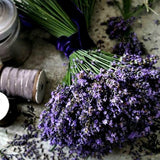 Lavandou from Wicked Good Perfume