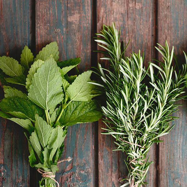 Rosemary Mint from Wicked Good Perfume
