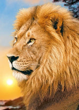 Lion King WD070 10.6 x 14.9 inches Wizardi Diamond Painting Kit from Wizardi