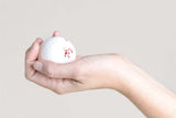Bath Bombs Gift Box, Set of 14 Big 100% Natural Relaxing Bath Bombs from Lizush
