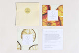 Natural Clay Facial Mask, Exfoliating Mask, Glowing skin Mask from Lizush