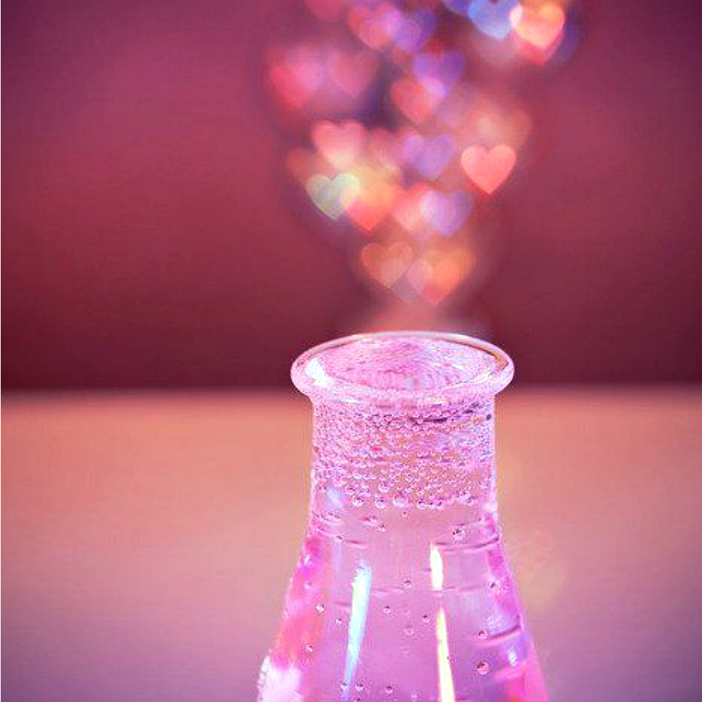 II.XIV. from Wicked Good Perfume