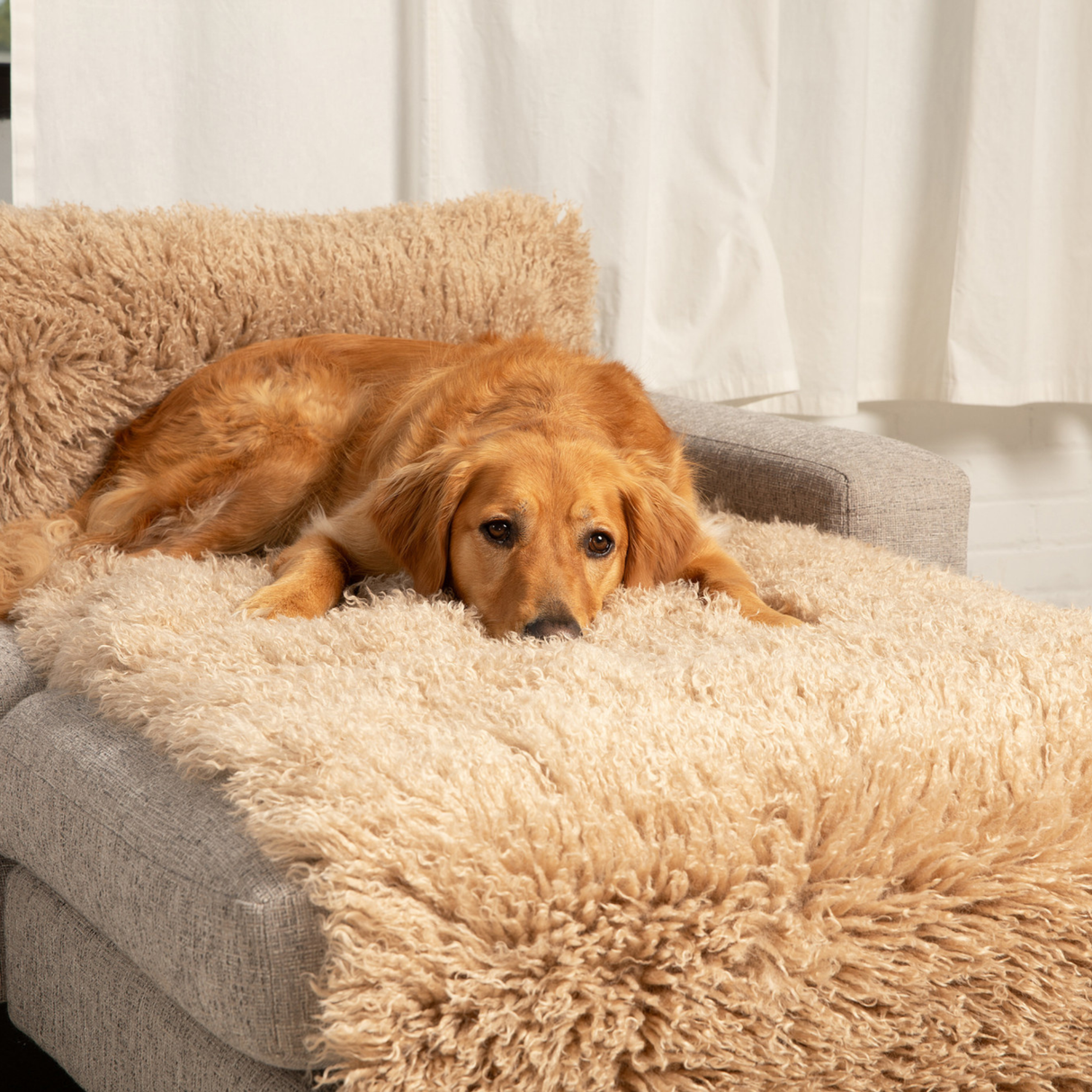 PupProtector™ Luxe Waterproof Bed Runner - Plush Sheep Tan from Paw.com