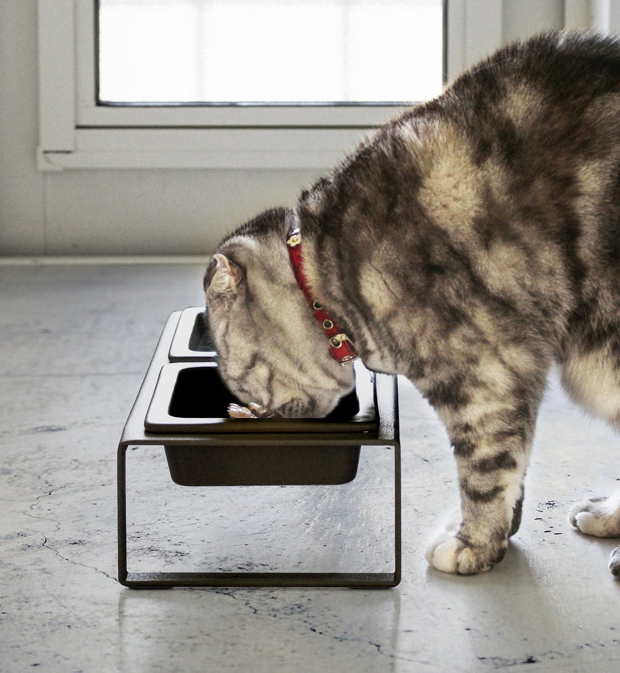 Pet Food Bowl from Yamazaki Home