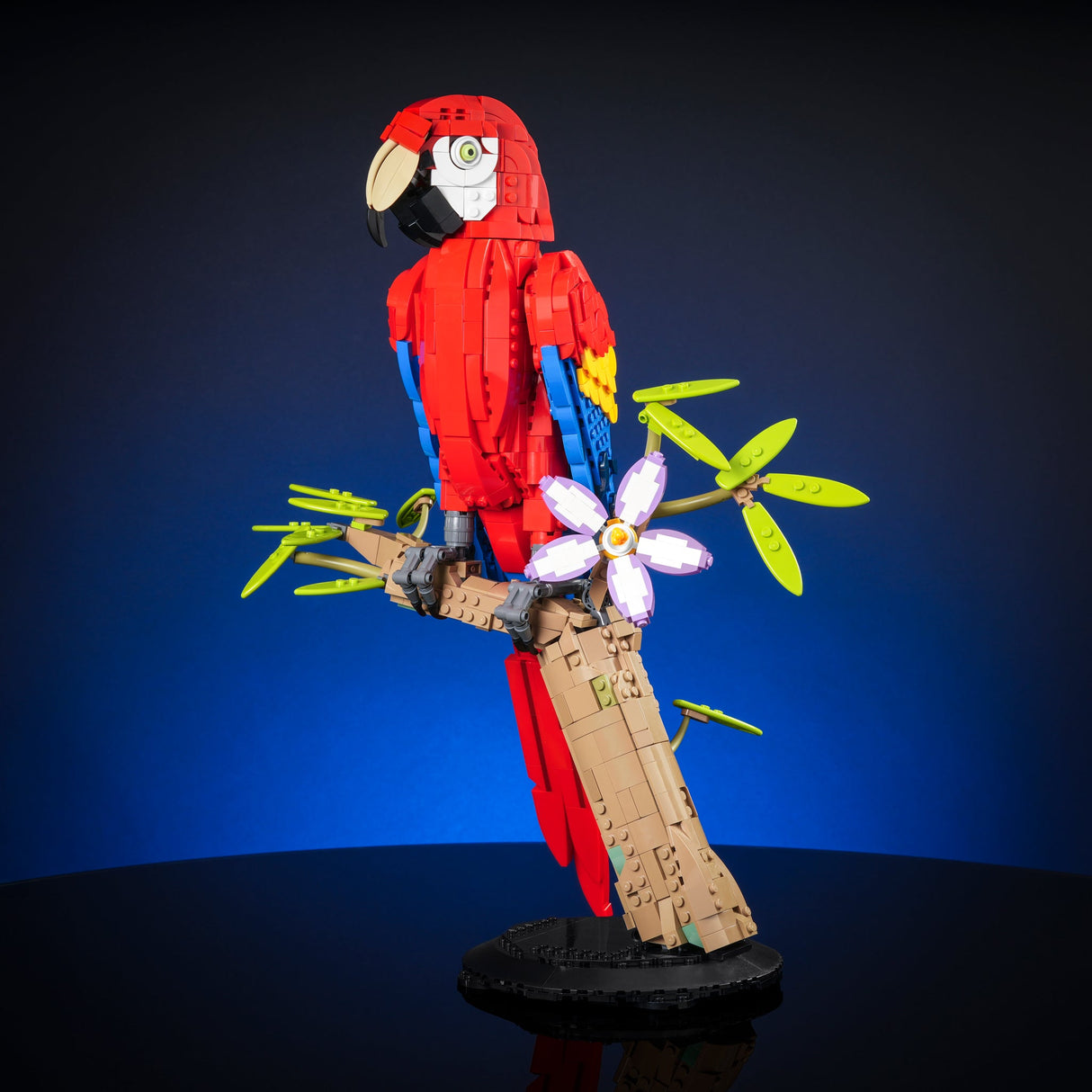 Scarlet Macaw from Bricker Builds