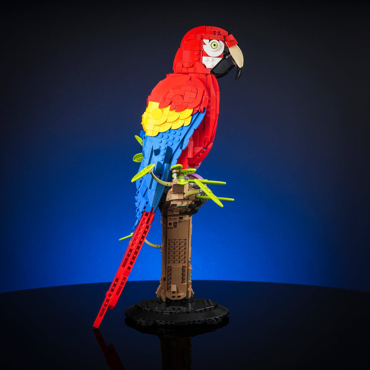 Scarlet Macaw from Bricker Builds
