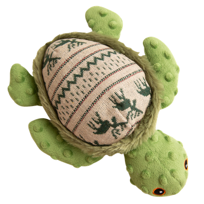 Holly the Turtle from Health Extension