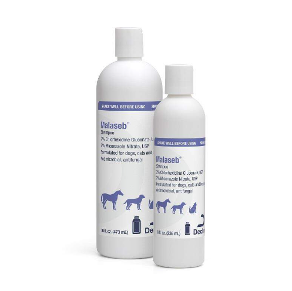 Malaseb Shampoo from HardyPaw
