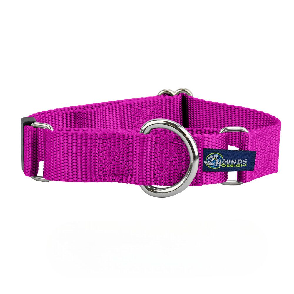 5/8″ and 1″ Raspberry Nylon Martingale Dog Collar from 2 Hounds Design