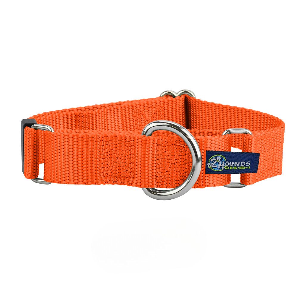 Rust Nylon Martingale 1″ Dog Collar From 2 Hounds Design