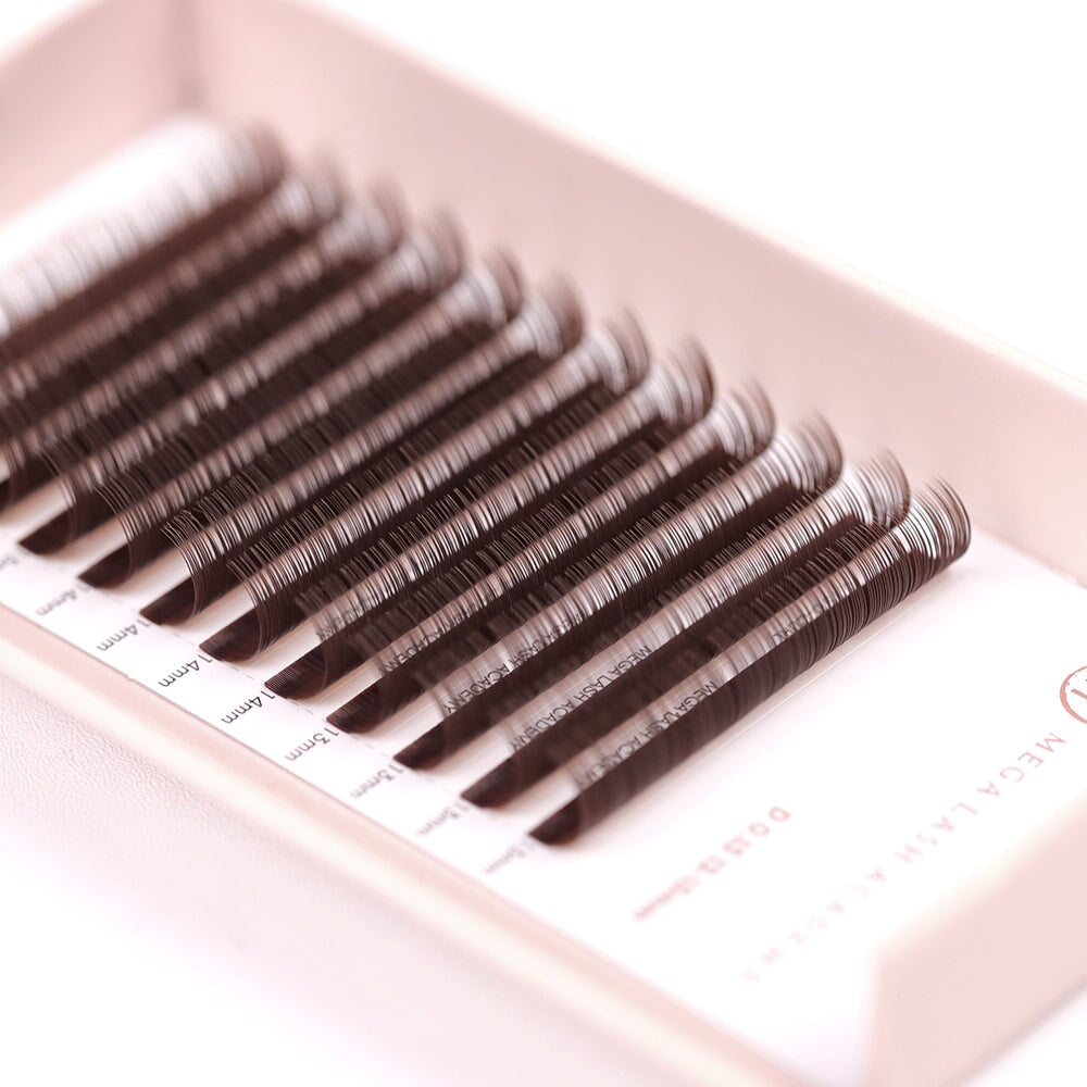 Medium Brown Classic Lash Tray from Mega Lash Academy