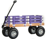 Berlin Flyer Sport Wagon - Model F410 - Amish Made in Ohio, USA From AmishToyBox.com