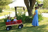Berlin Flyer Sport Wagon - Model F410 - Amish Made in Ohio, USA From AmishToyBox.com