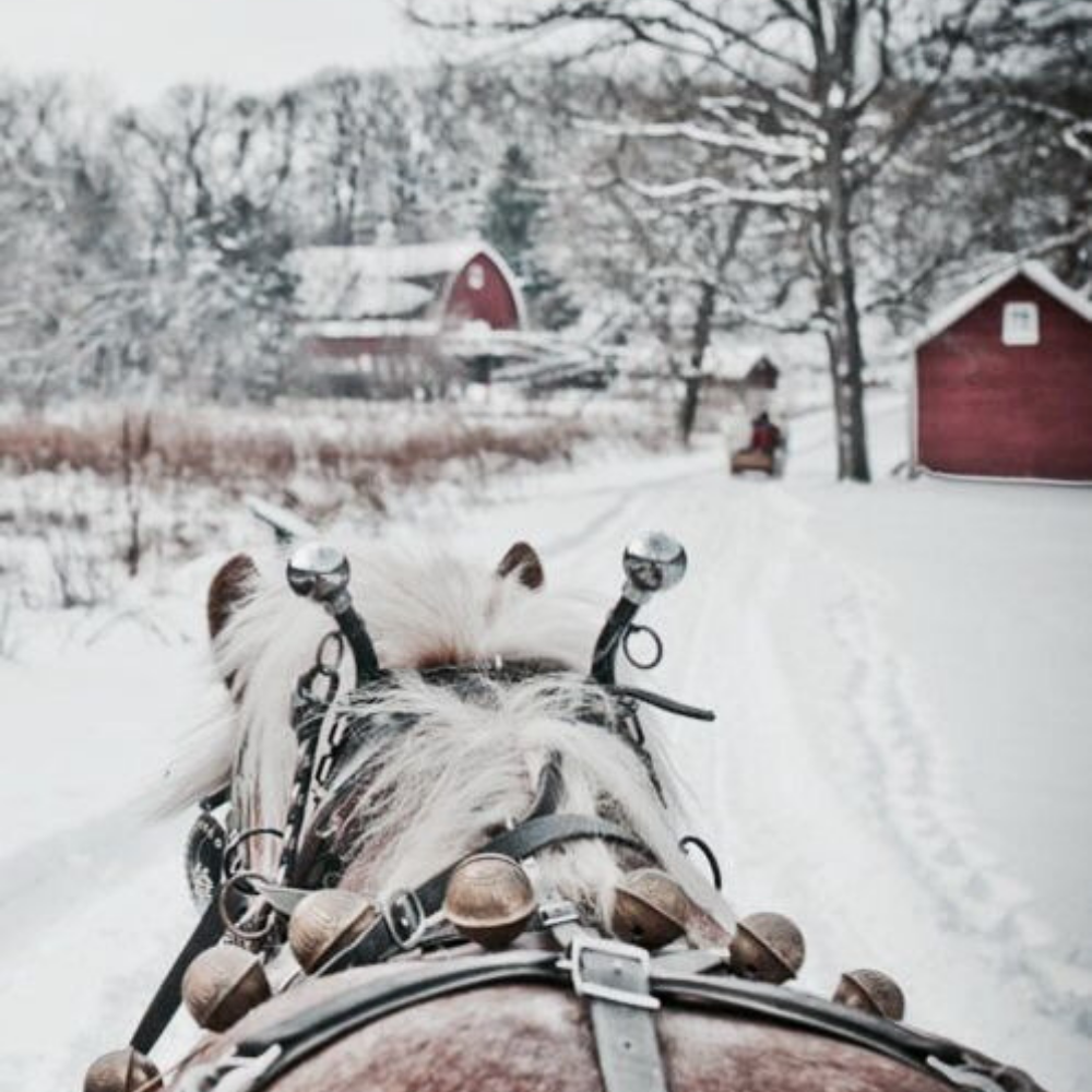 Sleigh Ride from Wicked Good Perfume