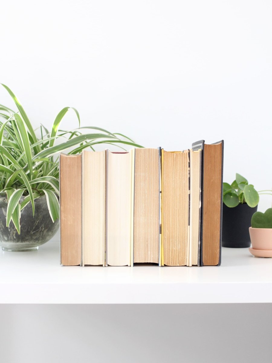 Metal Bookend from Jubilee Trading Company