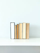 Metal Cactus Bookend from Jubilee Trading Company