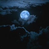 Midnight For Men from Wicked Good Perfume