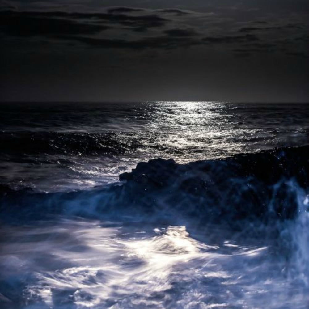 Midnight Surf from Wicked Good Perfume