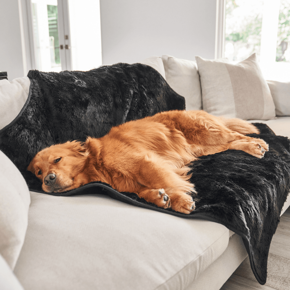 PupProtector™ Summer Short Fur Waterproof Throw Blanket - Midnight Black from Paw.com
