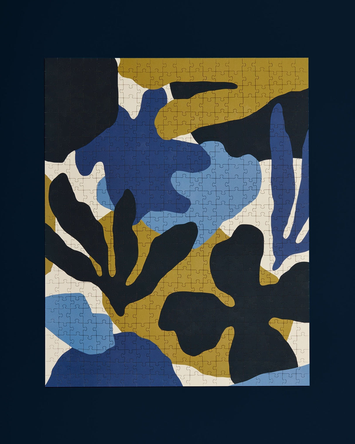 Migula Puzzle from Ordinary Habit