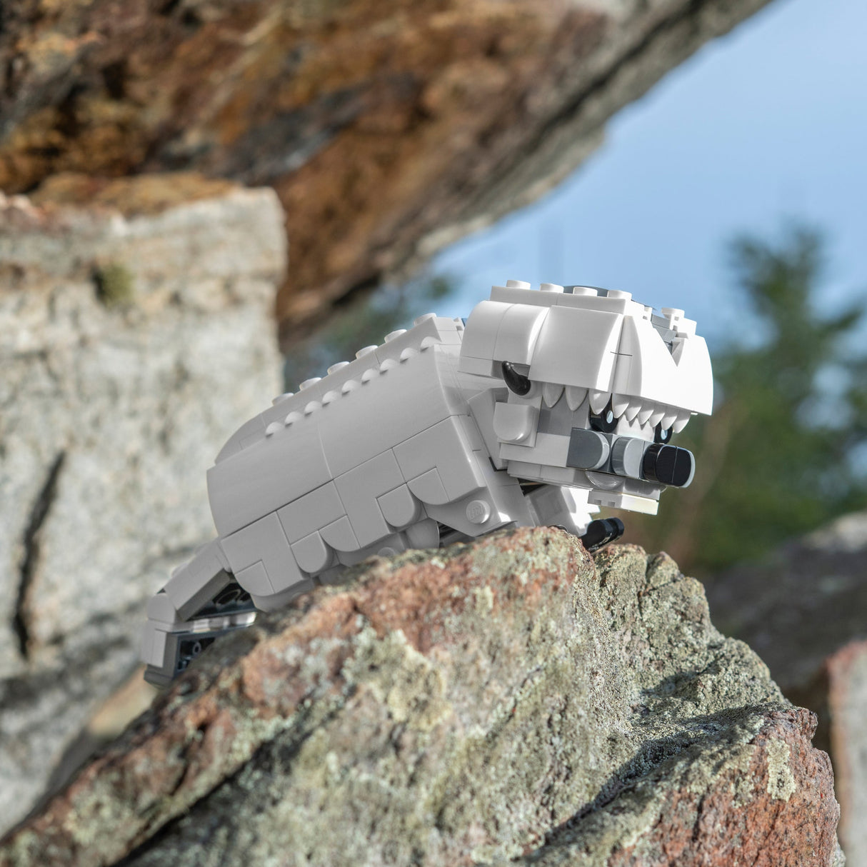 Mini Appa from Bricker Builds