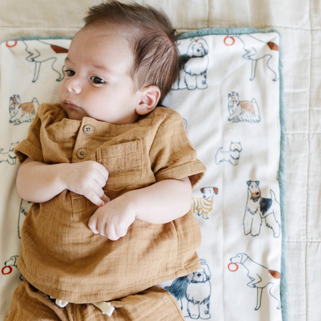 MINKY/LUSH MINI BLANKETS From Saranoni
