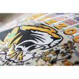 Missouri, University of (Mizzou) Collegiate Hand-Embroidered Pillow from Quirks!