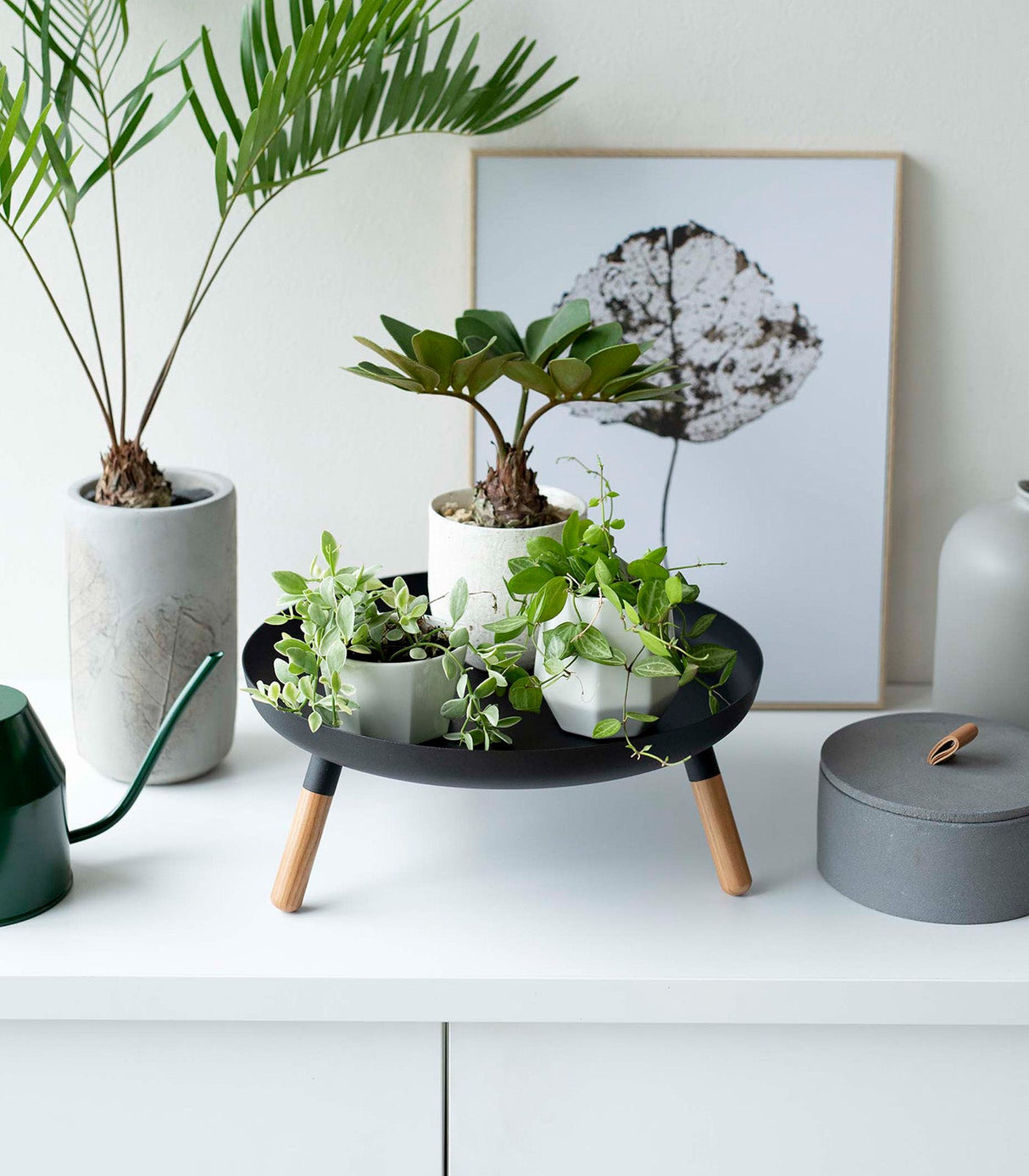 Countertop Pedestal Tray (5" H)  - Steel + Wood from Yamazaki Home