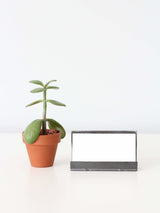 Modern Metal Business Card Holder From Jubilee Trading Company