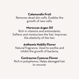 Hair Mask & Scalp Treatment + Shampoo From The Spoiled Mama