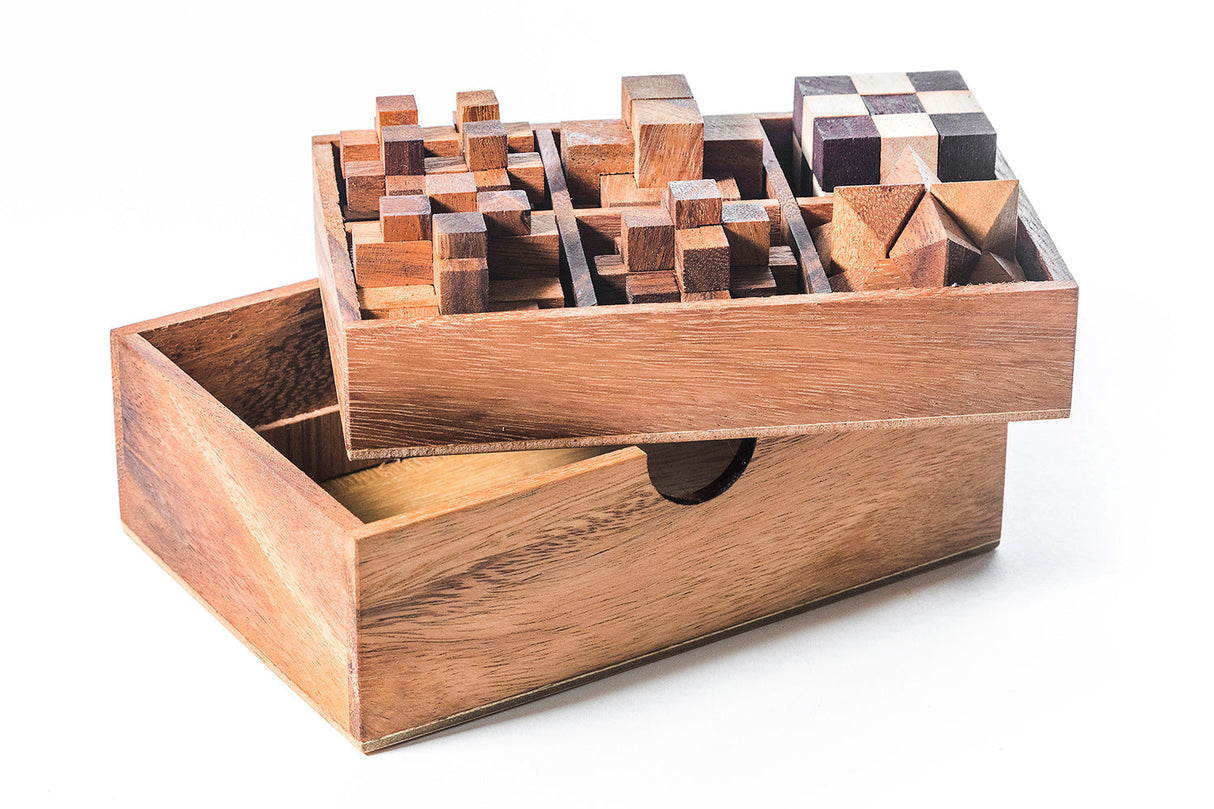 6 STEM Puzzle Gift Set - Wooden Puzzle Brain Teaser from Kubiya Games