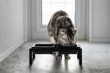 Pet Food Bowl from Yamazaki Home
