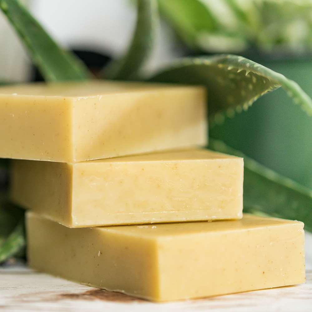 Natural Soap: Fresh Aloe From Chagrin Valley Soap & Salve
