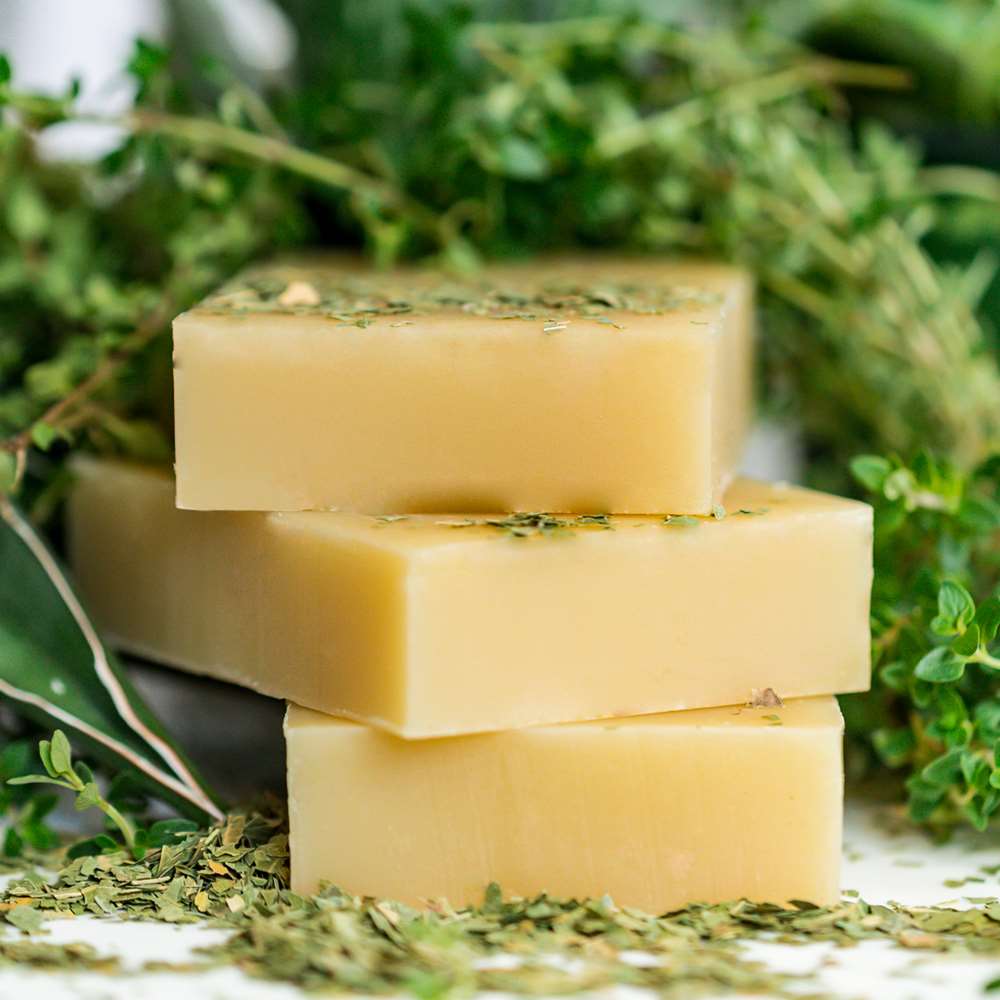 Neem & Tea Tree Body & Hair Shampoo From Chagrin Valley Soap & Salve