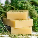 Neem & Tea Tree Body & Hair Shampoo From Chagrin Valley Soap & Salve