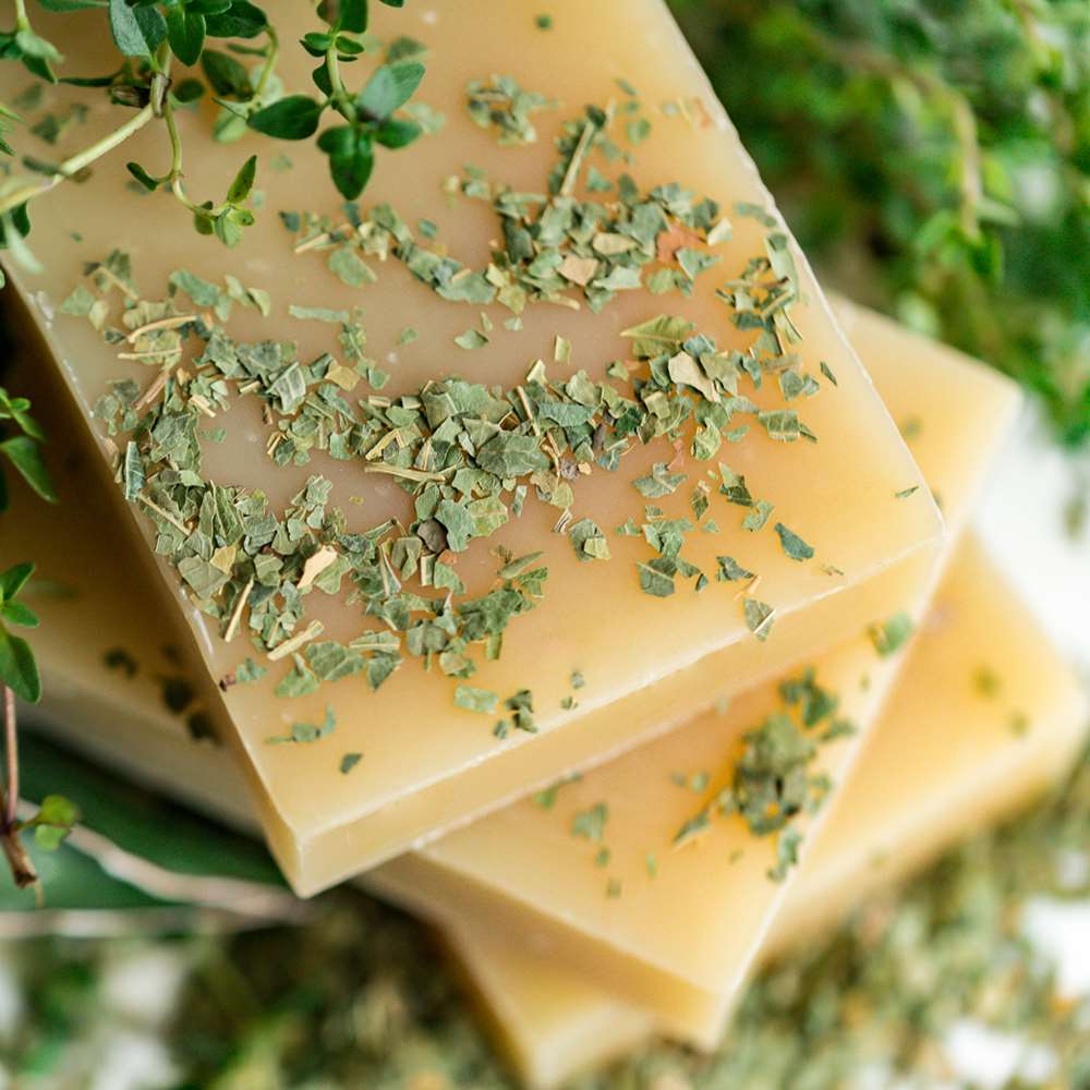 Neem & Tea Tree Body & Hair Shampoo From Chagrin Valley Soap & Salve