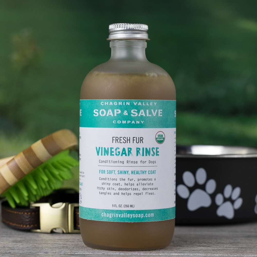 Apple Cider Vinegar Rinse Concentrate: Fresh Fur from Chagrin Valley Soap & Salve