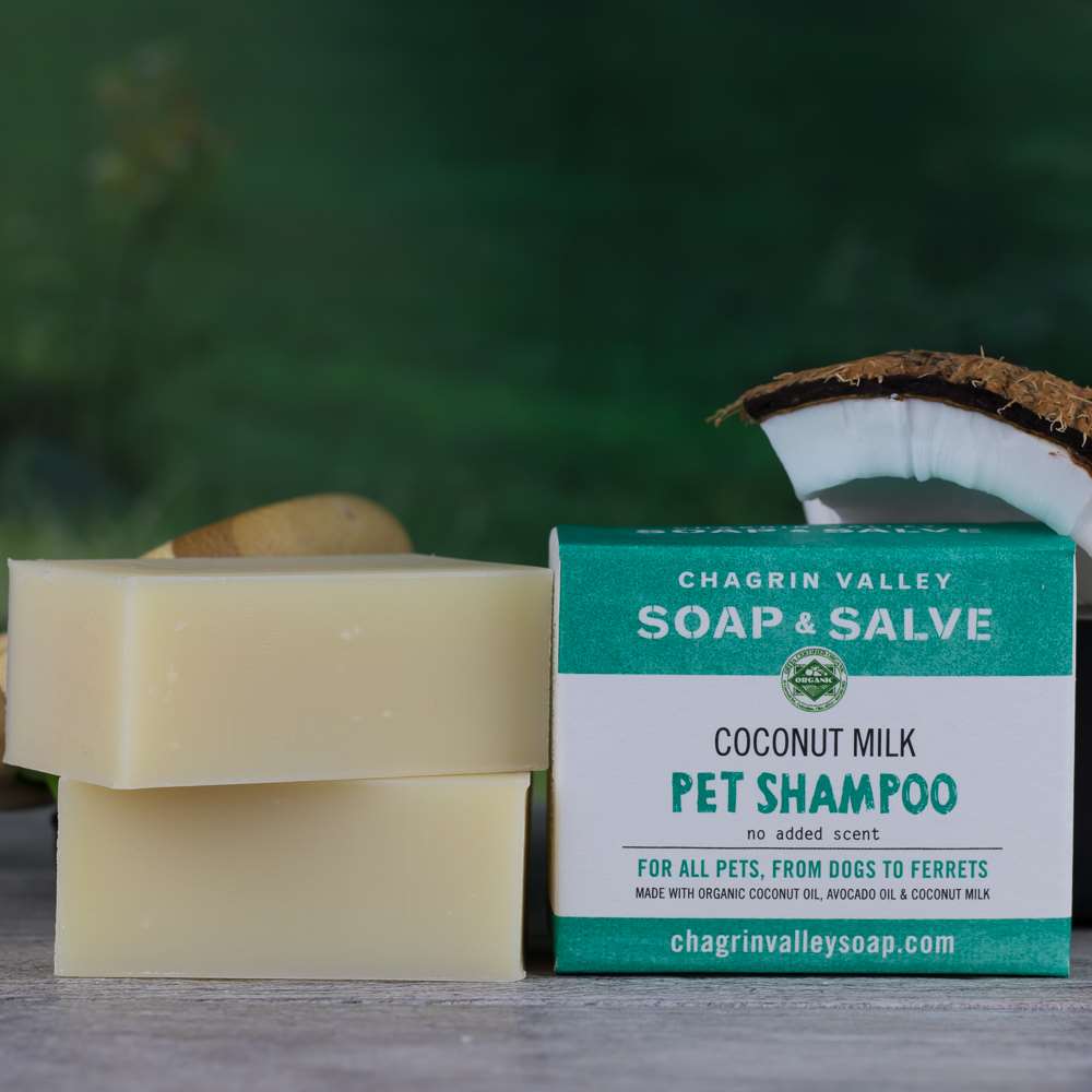 Dog/Pet Shampoo: Coconut Milk from Chagrin Valley Soap & Salve