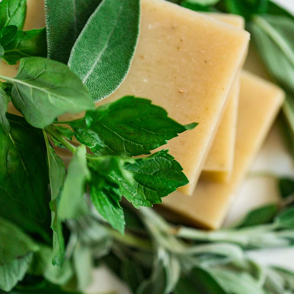 Natural Soap: Sage Mist From Chagrin Valley Soap & Salve