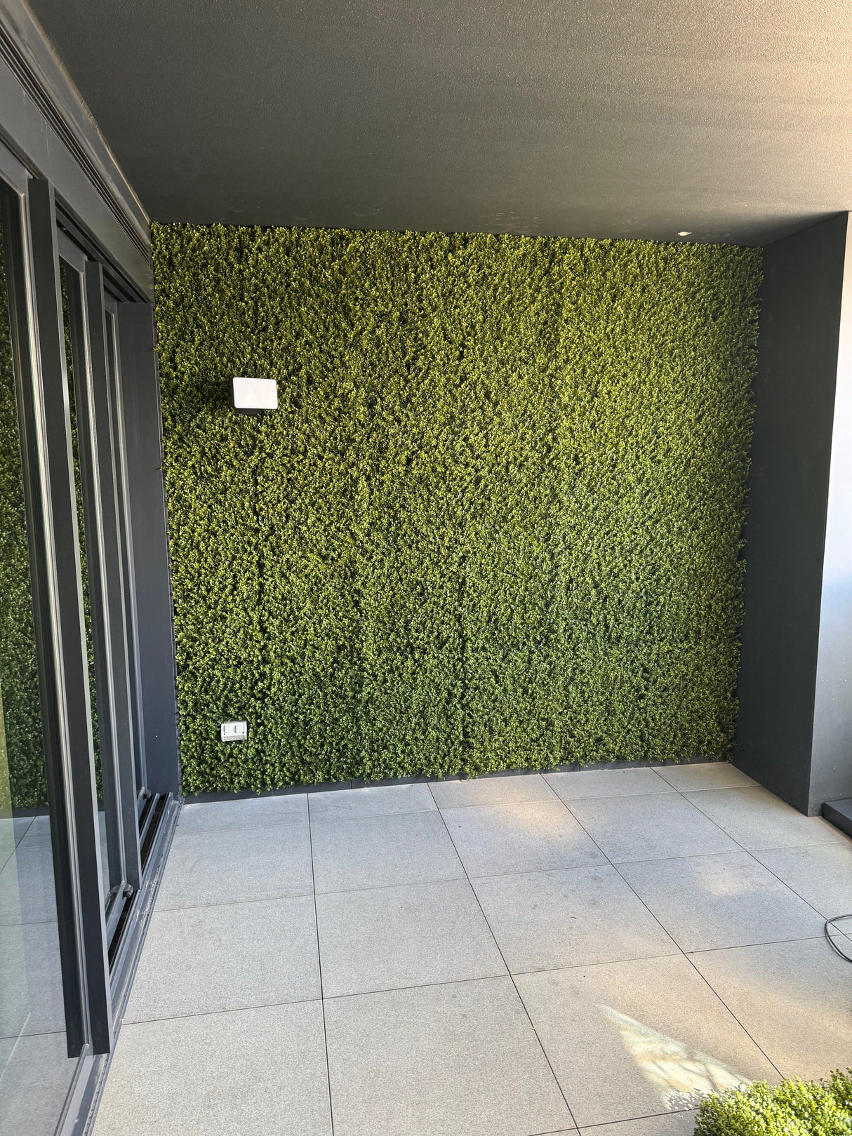 Natural Artificial Boxwood Wall 40" x 40" 11SQ FT Commercial Grade UV Resistant from Designer Plants USA