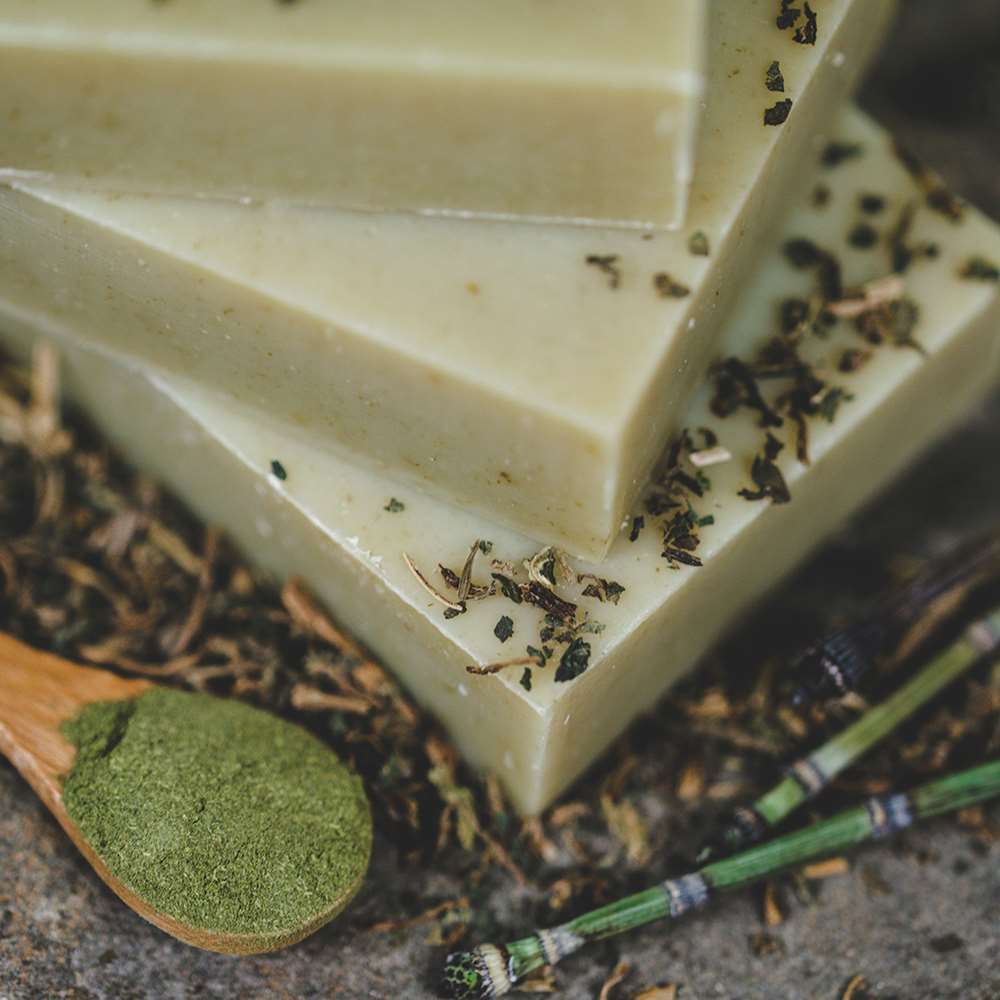 Shampoo Bar: Nettle From Chagrin Valley Soap & Salve