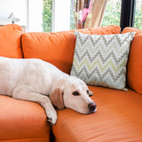 Nature Cushion Covers from Moderny