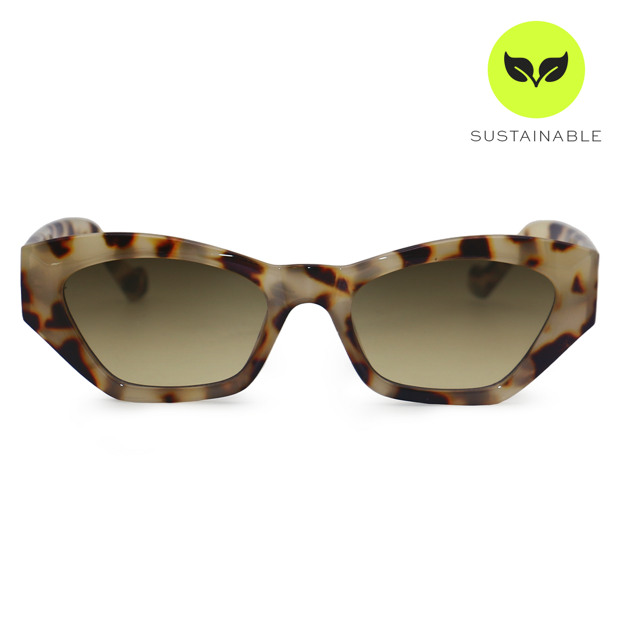 Bright as my Future - Tortoise From TopFoxx