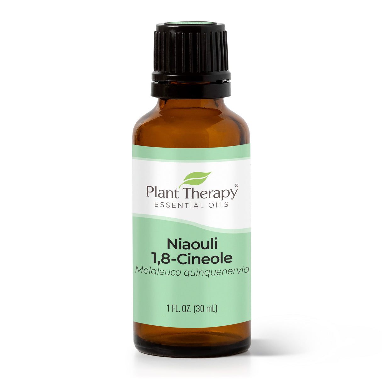 Niaouli 1,8-Cineole Essential Oil from Plant Therapy