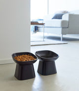 Tilted Pet Food Bowl from Yamazaki Home