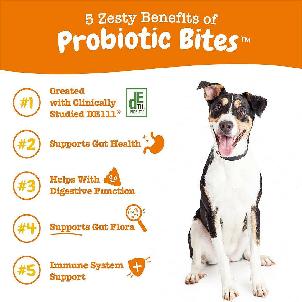 Zesty Paws Probiotic Bites Pumpkin Flavored Chews for Dogs (90 ct) from HardyPaw