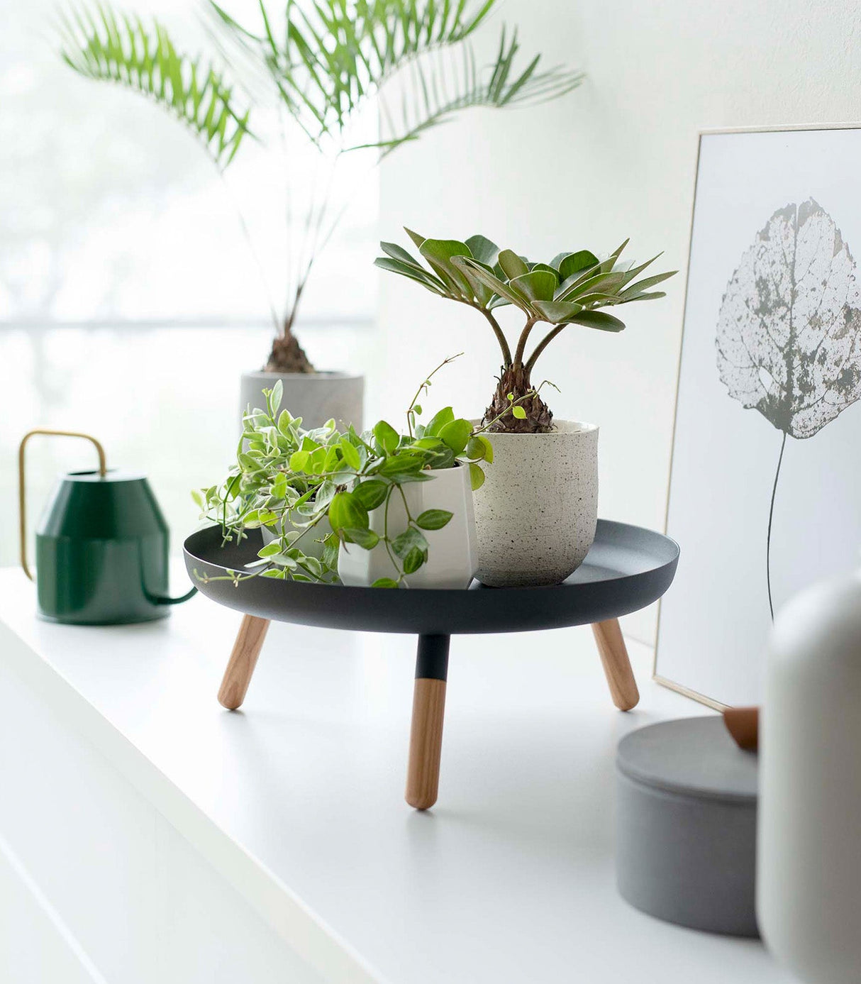 Countertop Pedestal Tray (5" H)  - Steel + Wood from Yamazaki Home