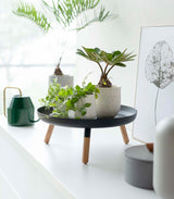 Countertop Pedestal Tray (5" H)  - Steel + Wood from Yamazaki Home