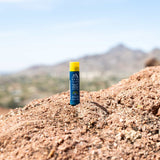 SPF Shine-Free Lip Balm Kit - Sunny Mint From Oars + Alps