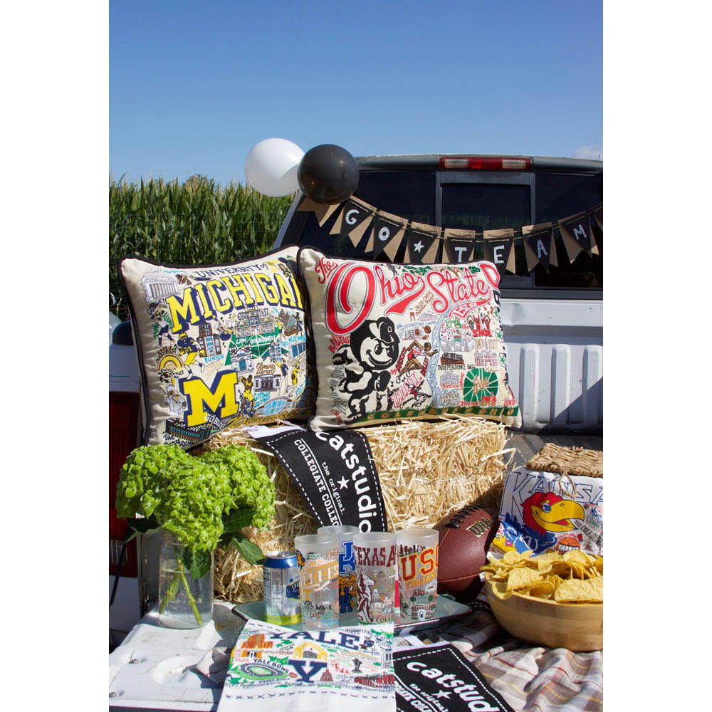 Ohio State University Collegiate Embroidered Pillow by CatStudio from Quirks!